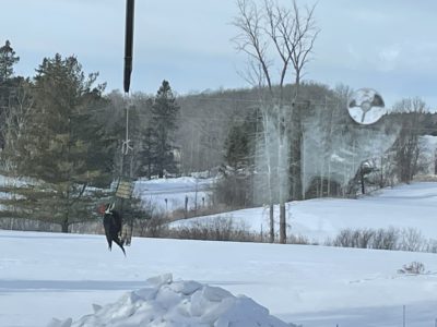 01.23.22 Check out this Large Pileated Woodpecker